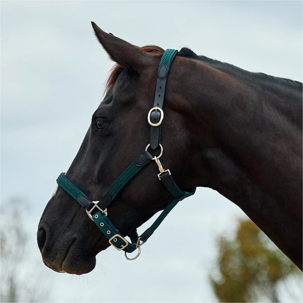 2026 Dublin Braided Leather Headcollar 1031532 - Hunter Green